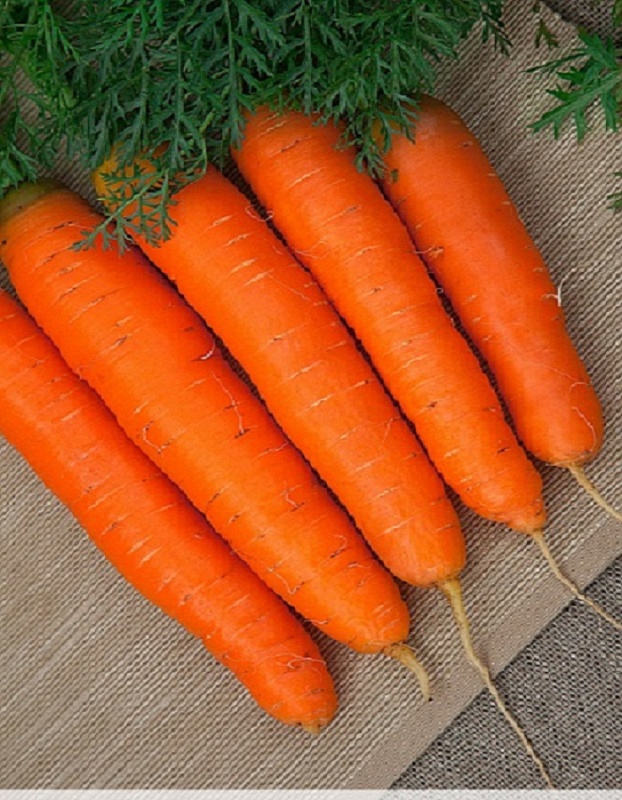 Морковь Детская сладость (Гранулы)  300 шт