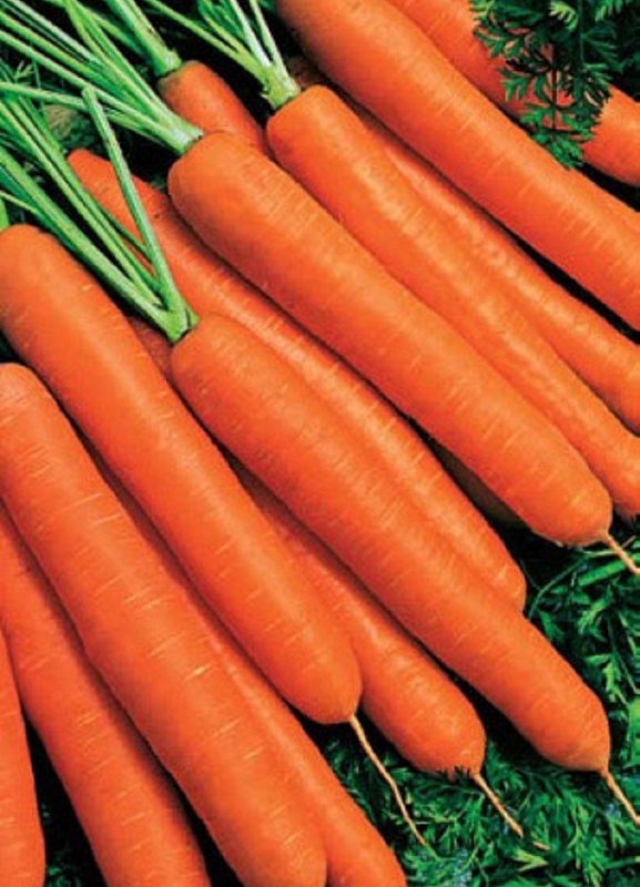 Морковь Без сердцевины (УД) 2гр цв.п.