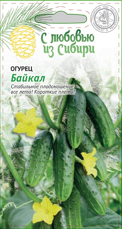 Огурец Байкал 0,25 гр цв.п. (Сибирская серия)