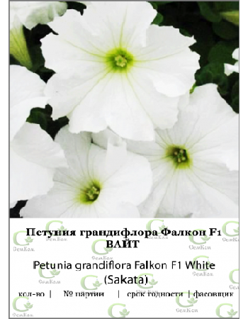 Петуния грандифлора Фалкон Вайт F1 100др (Sakata) 