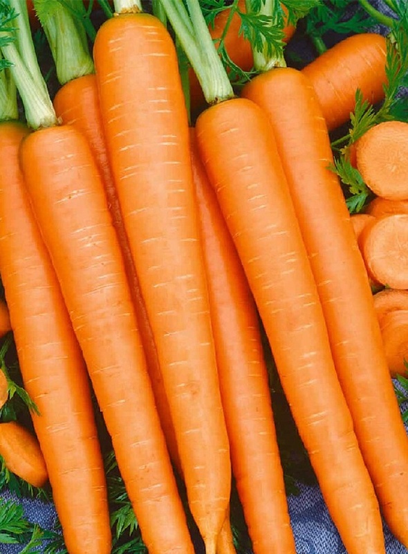 Морковь Нандрин F1 (УД) 150 шт цв.п.