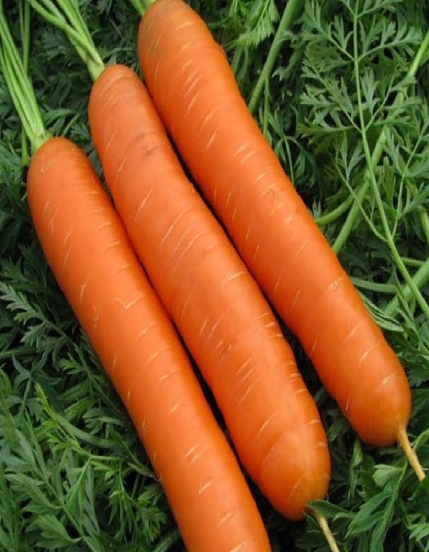 Морковь Вкусняшка  2 гр цв.п