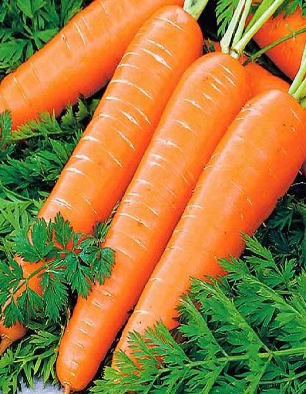 Морковь Сахарный Гигант (УД) 2 гр цв.п